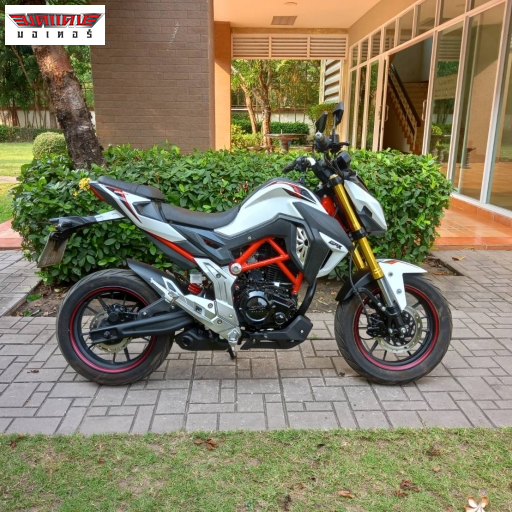 DEMON150GN